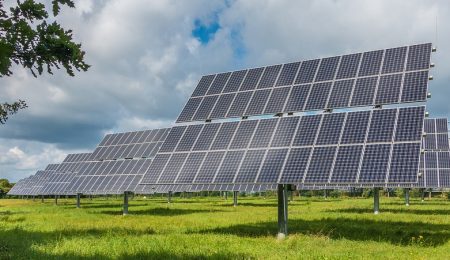 Сельское хозяйство Беларуси