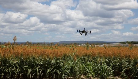 Цифровые технологии в сельском хозяйстве - Новости сельского хозяйства Беларуси