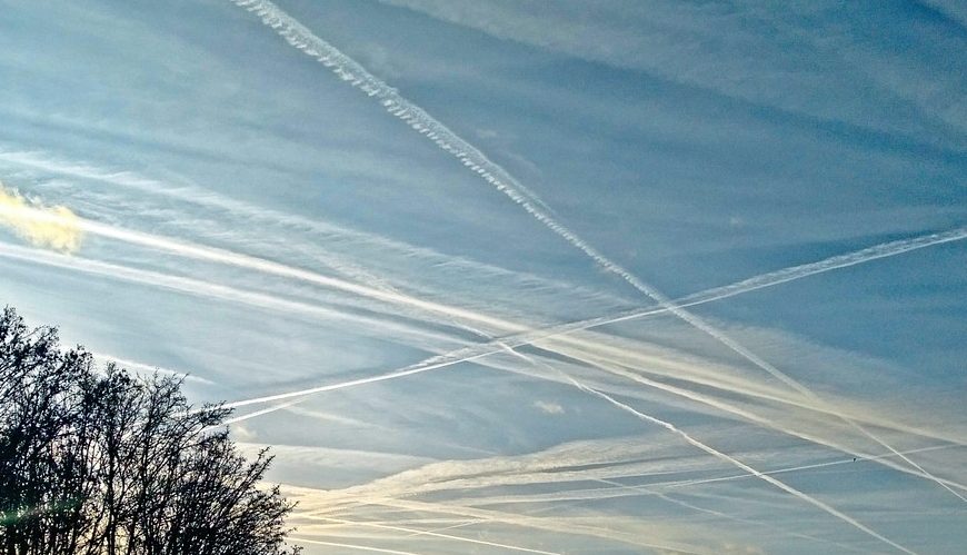 Covid увеличил количество солнечной энергии на Земле - Новости сельского хозяйства Беларуси