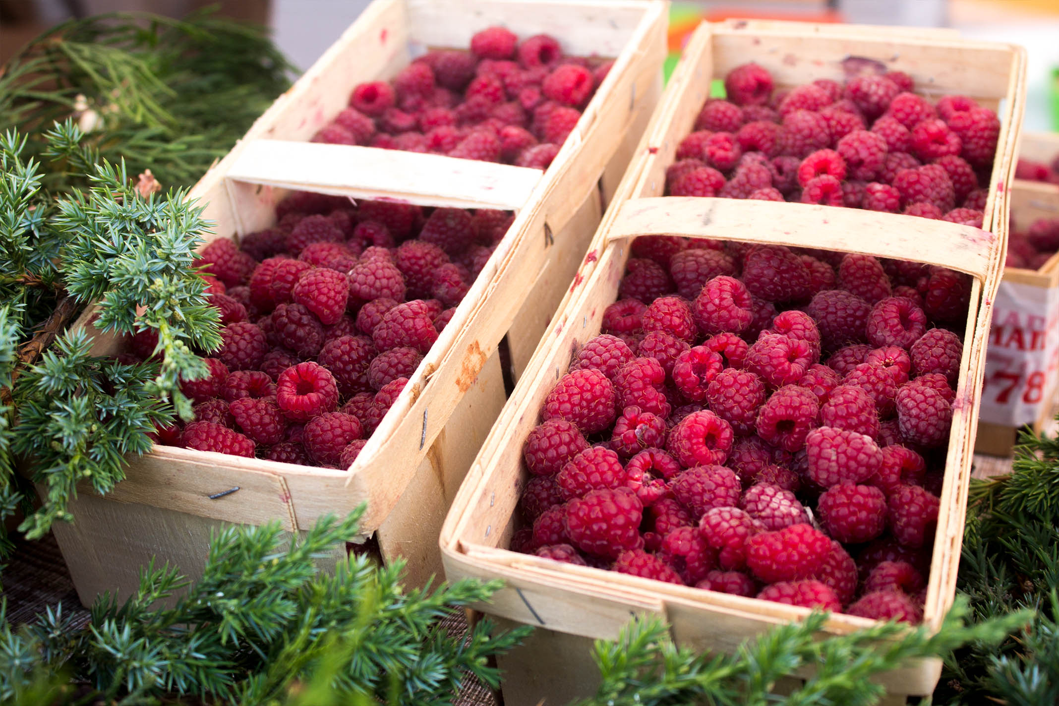 Boxing berry. Ягоды в ящике. Ящик клубники. Коробка для малины. Ягодные коробки.