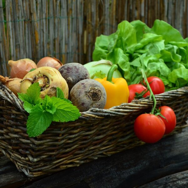 AgroCovid-19 - Новости сельского хозяйства