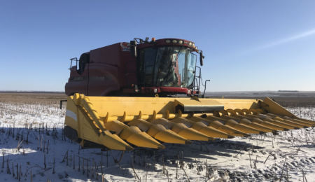 Беспилотный комбайн убирает урожай на снегу - Новости сельского хозяйства Беларуси и Мира