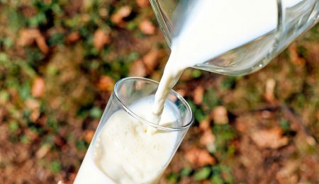 Молоко дня - Новости сельского хозяйства Беларуси