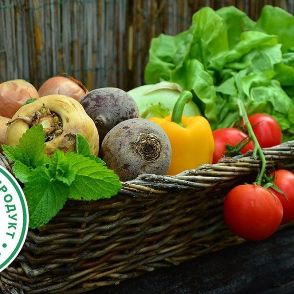 Органические продукты Беларуси - Новости сельского хозяйства