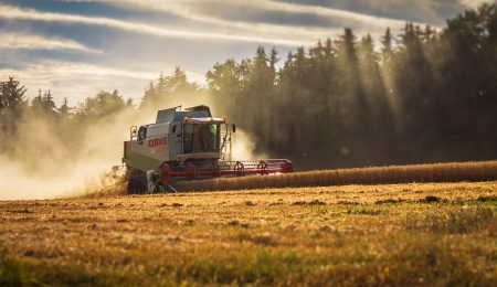 Прогноз урожая зерна на 2021 год - Новости сельского хозяйства Беларуси