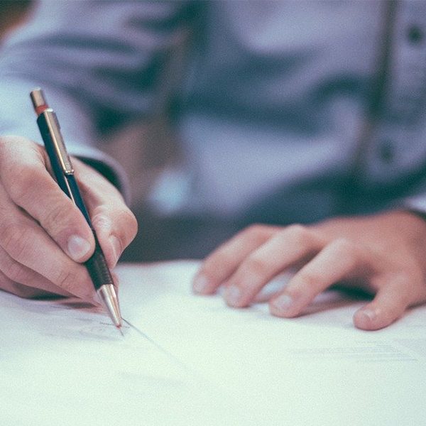 Переговоры с DIY - Новости сельского хозяйства Беларуси
