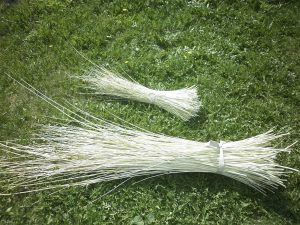 Кошыки - Новости сельского хозяйства Беларуси