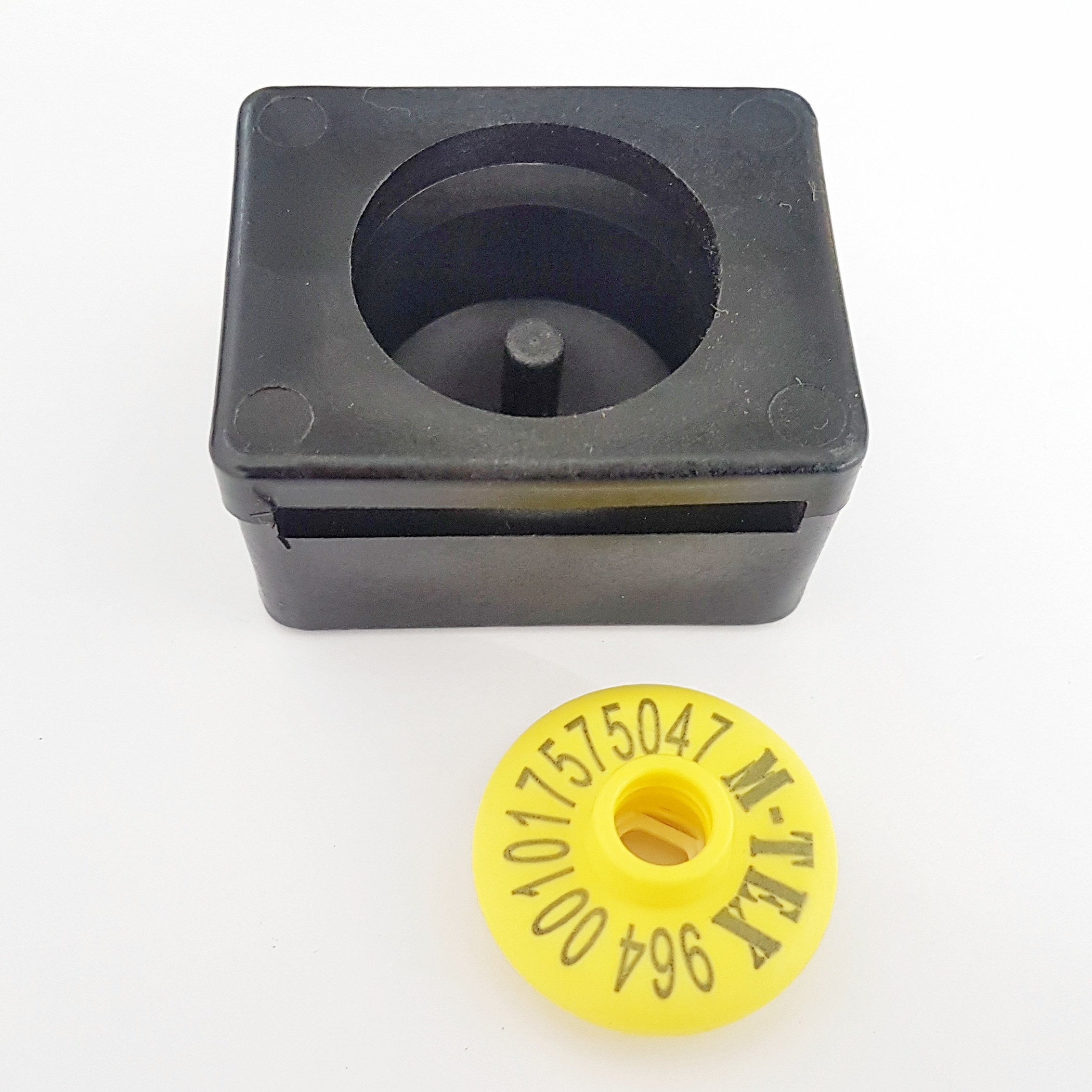 20191031_132353_01_01