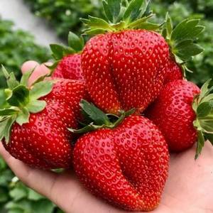 4ac33b39346247945672db33806360aa1