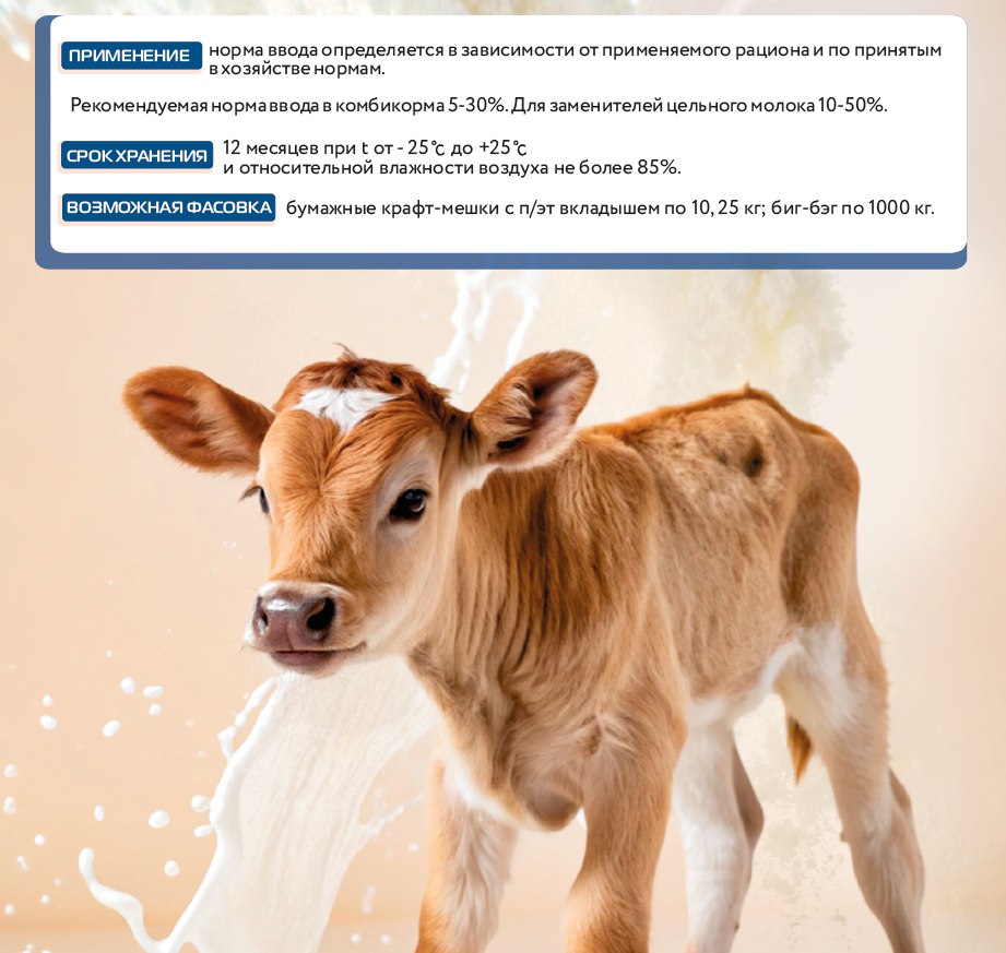 photo_4943039734997955150_y