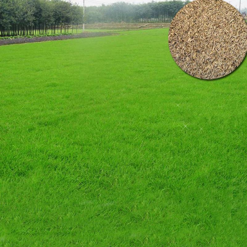 b2020e145c2b8184a28a3f0b0dfc329e8148ab40_original