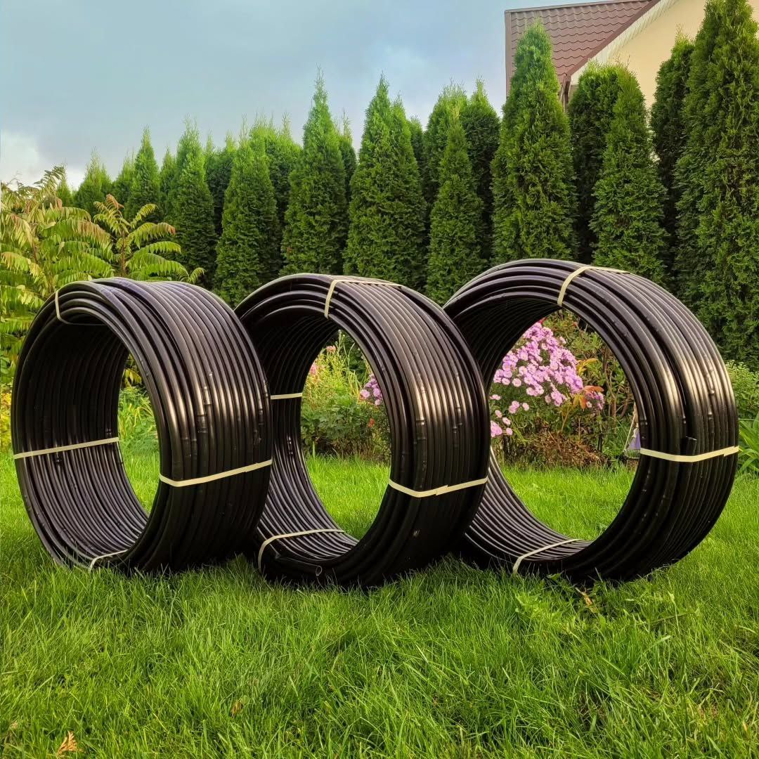 photo_3_2026-01-14_14-14-15-1